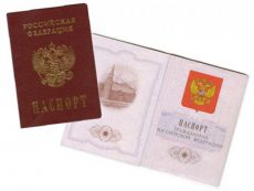 Какой паспорт может быть признан незаконным